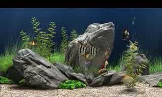 3D Cinema-Aquarium capture d'écran 1