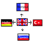 ikon Multi-Language Translator