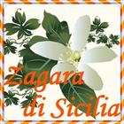 Zagara di Sicilia Guide icône