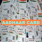 Aadhaar Card - Apply | Status | Update icon