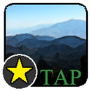 Forest Tap APK