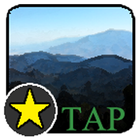 Forest Tap icône