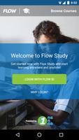 Flow Study Affiche