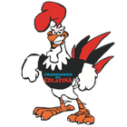 Franguinho do Colatina icon