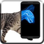 Cat Xray Prank icon