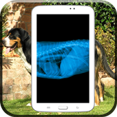 Dog Xray Prank icon