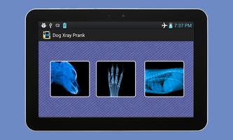 Dog Xray Prank Poster