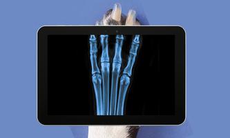 Dog Xray Prank captura de pantalla 1