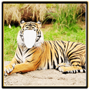 Photo Editor - Tiger Photo APK