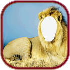 Icona Photo Editor - Animal Photo