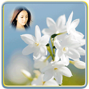 Photo Editor - Jasmine Flower APK