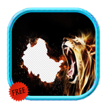 Lion Photo Frame Editor icon