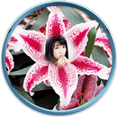 Photo Editor - Lily Flowers APK