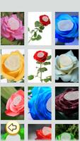 Photo Editor - Rose Photo скриншот 1