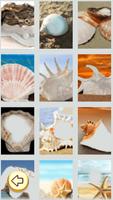 Photo Editor - Seashell Photo تصوير الشاشة 1