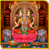 APK Lakshmi Puja