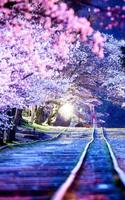 Cherry Blossom screenshot 3