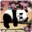 Little panda wallpapers APK