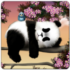 Little panda wallpapers icon