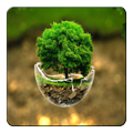 Nature Wallpapers