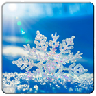 Snow Wallapers icon