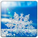 Snow Wallapers APK
