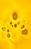 Sunflower Wallpapers capture d'écran 2