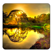 Sunrise Wallpapers