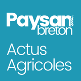 Paysan Breton icon
