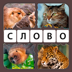 4 Картинки 1 Слово: Увлечение icon