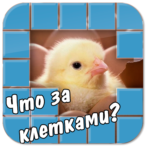 Угадай что за клетками!