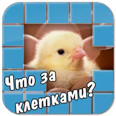 Угадай что за клетками! APK download
