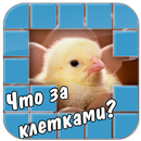 Угадай что за клетками! APK