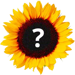 Угадай цветок! Что за цветок? APK download