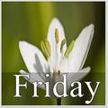 Friday