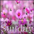 Sunday