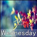 Wednesday APK