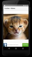 Fuzzlies - Kittens (Lite) Affiche