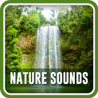 Nature Sounds & Ringtones icono