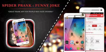 Spider Prank : Funny Joke