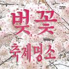 전국벚꽃명소 벚꽃축제유명한곳-벚꽃개화시기(한국,일본) simgesi