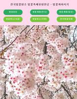 전국벚꽃명소 벚꽃축제유명한곳-벚꽃개화시기(한국,일본) Plakat
