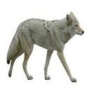 Coyote Sound APK