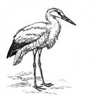 Stork Sound icône