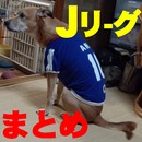 2016　Ｊリーグ全チームまとめ APK