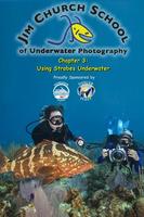 Under Water Strobes Plakat