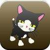 APK Cat Talking and Dancing