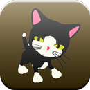 Cat Talking and Dancing APK