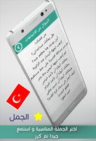 تعلم اللغة التركية بدون انترنت screenshot 2