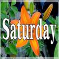 ”Saturday